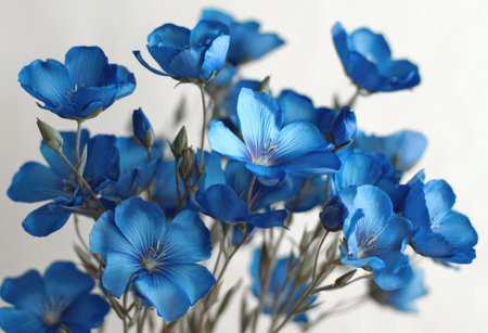 A cluster of vivid blue flowers is captured against a simple white backdrop. The petals showcase a delicate texture, with a naturalistic aesthetic and soft lighting. This image suggests freshness and vitality, suitable for decorative purposes, editorial content, and various design applications.の素材