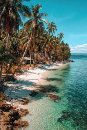 Tropical beach with coconut palm trees and turquoise waterの素材