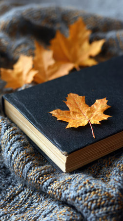 Book and autumn leaves on knitted plaid background, closeupの素材