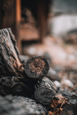 This image showcases a detailed view of aged wood logs. The composition highlights textured bark and circular end grain patterns, with a blurred background. Warm tones contrast with cooler hues creating depth. Suitable for visual concepts related to nature, materials, or environment for various commercial uses.の素材