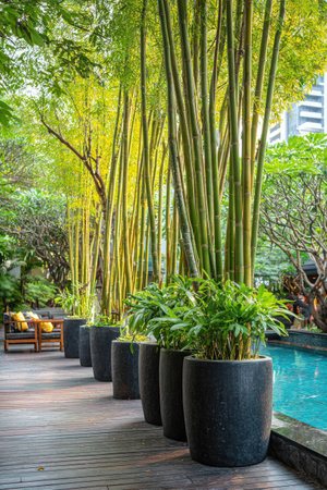 Tall bamboo trees and vibrant green potted plants line a wooden walkway beside a swimming pool. The scene features natural light and shadows, creating a serene environment. This image could be used for various commercial purposes, including travel, lifestyle, and design projects. The style offers a sense of tranquility.の素材