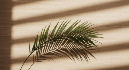 Palm leaf shadow on a beige wall. Natural background.の素材