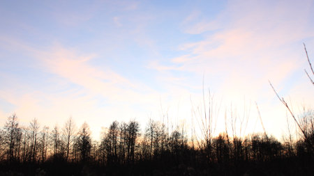 Landscape park in Poland, sunset viewの写真素材