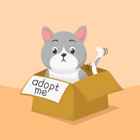 cute cartoon kitty cat needs adoptionのイラスト素材