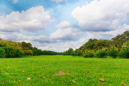 Garden with a big area of lawn and diferent treesの写真素材