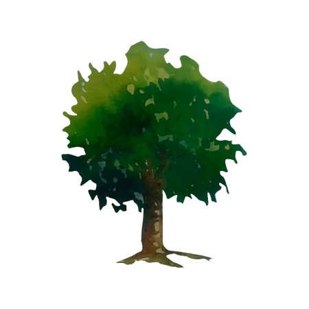 watercolor illustration of a southern tree in Africa, drawing by hand part of a savanna natureのイラスト素材