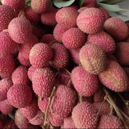 Fresh lychees with vibrant red skin and natural texture, captured in a bright and refreshing style...