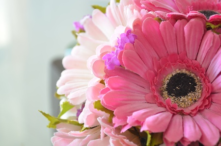 Plastic Flowerの写真素材