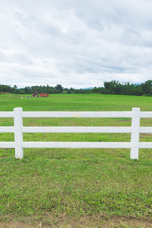 white fence in farm field and overcast skyの写真素材