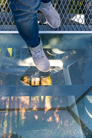 The Canopy Walkway a floor can look through elevated from groundの写真素材