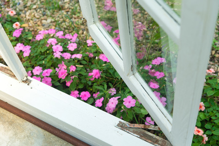Flower garden beside the living room windowの写真素材