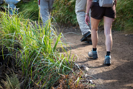 hikers with backpacks walking in mountains