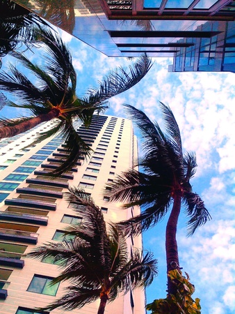 Buildings and treesの素材