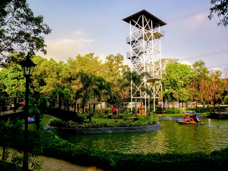 Rain forest park in pasig city, philippinesの素材