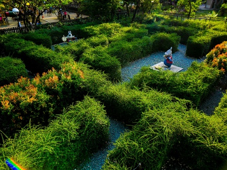Rain forest park in pasig city, philippinesの素材