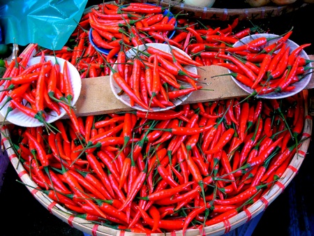 Red chili peppersの素材
