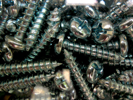 Wood screw