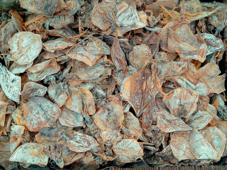 Dried squid sold in a supermarket