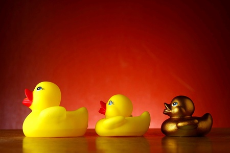 Rubber duckies and a golden ducklingの素材