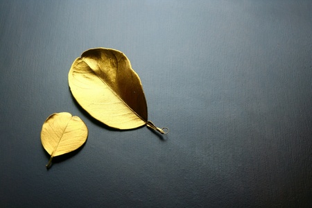 Golden leaves on a wooden tableの素材