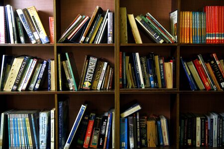 Books on a bookshelfの素材