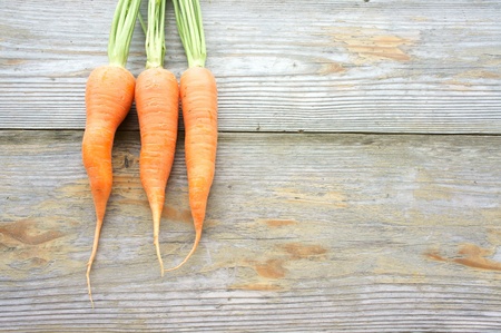 A fresh carrot の写真素材
