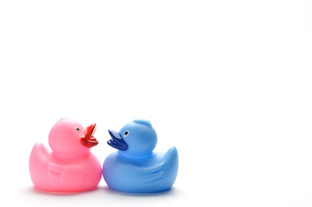 Many ducks toy of different colors on a over white backgroundの写真素材