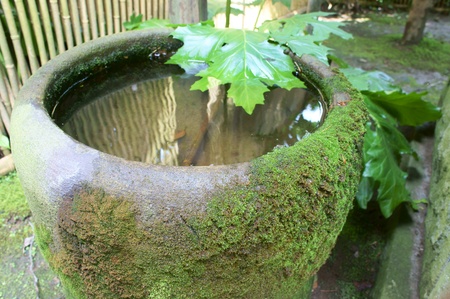 Water basin in japanの写真素材