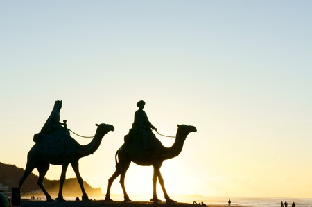 The bronze statue of a camel  の写真素材