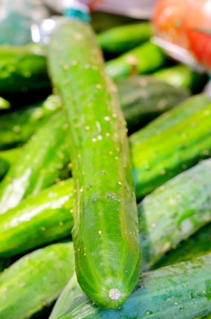 Cucumbers from a Marketの写真素材