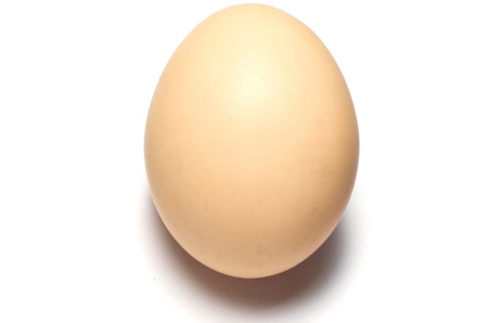 close up of egg on white backgroundの写真素材