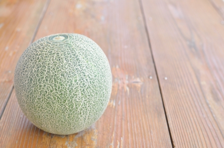 mellonの写真素材