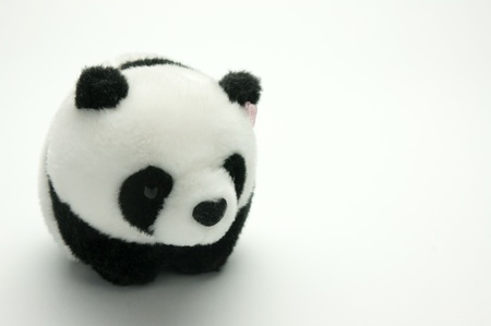 pandaの写真素材