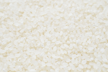 raw rice の写真素材