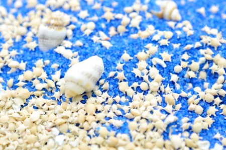 Star Sandの写真素材