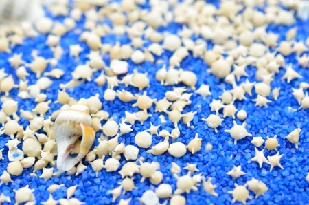 Star Sandの写真素材