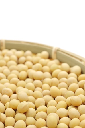 soybean isolated on white backgroundの写真素材