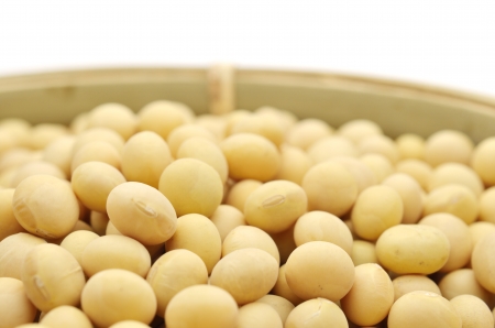 soybean isolated on white backgroundの写真素材