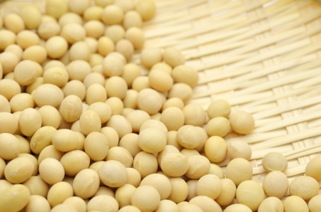 soybean isolated on white backgroundの写真素材