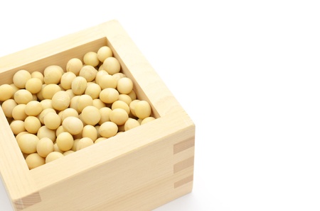 soybean isolated on white backgroundの写真素材