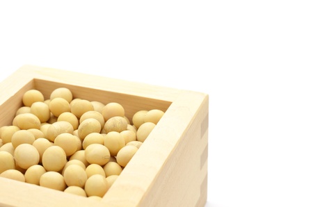 soybean isolated on white backgroundの写真素材