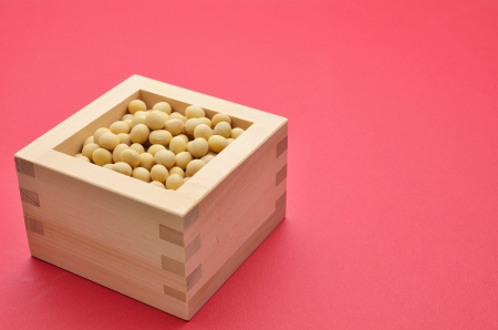 soybean isolated on red backgroundの写真素材