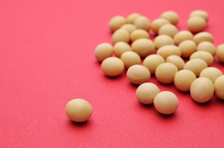 soybean isolated on red backgroundの写真素材