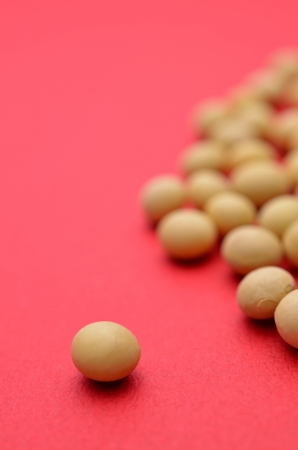 soybean isolated on red backgroundの写真素材