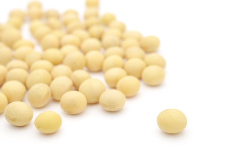 soybean isolated on white backgroundの写真素材