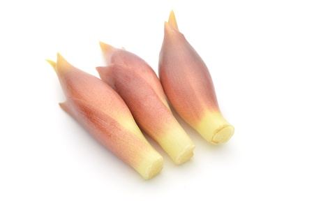 Japanese gingerの写真素材