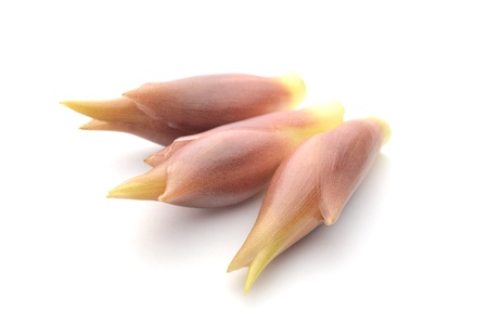 Japanese gingerの写真素材