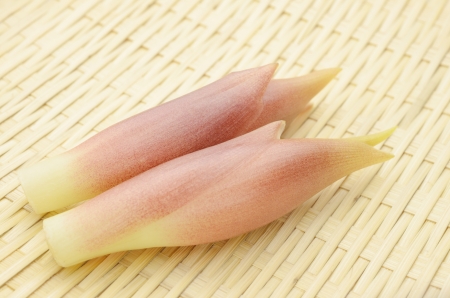 Japanese gingerの写真素材