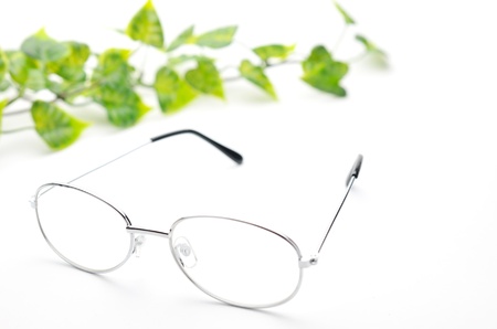 Eyeglasses and the green leaf の写真素材