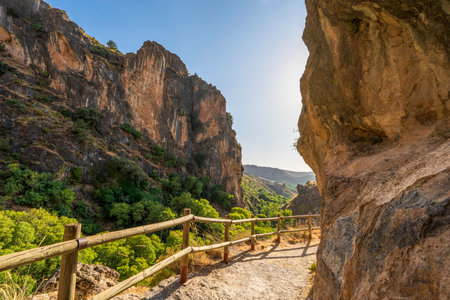 A Quaint Path Through the Cliffs Parque Nacional y Natural de Sierra Nevadaの写真素材